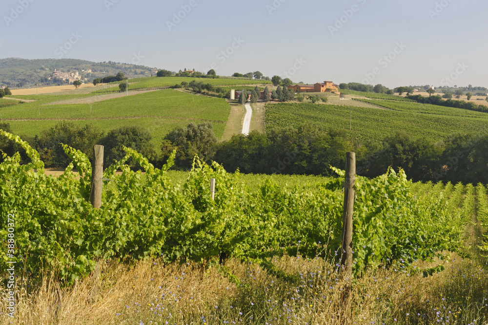 Landscape in Umbria near Todi