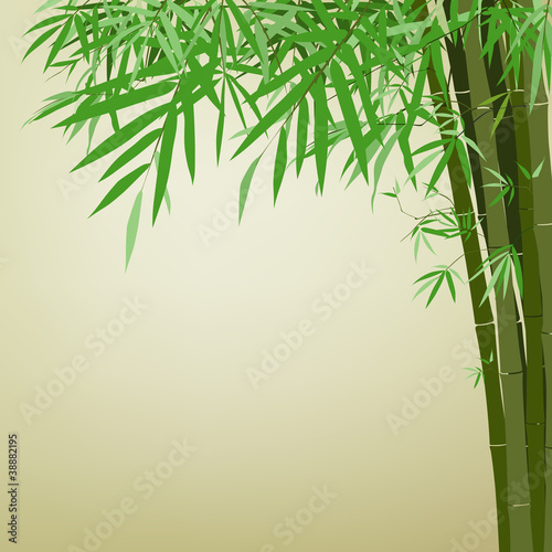 Bamboo printing  vector illustration