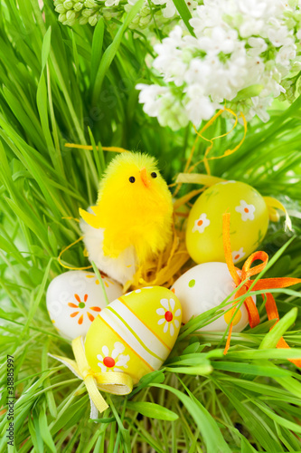 Easter chick and eggs