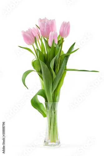 rosa Tulpen in Vase