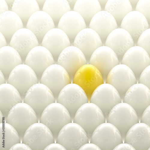 Golden egg among usual whit...