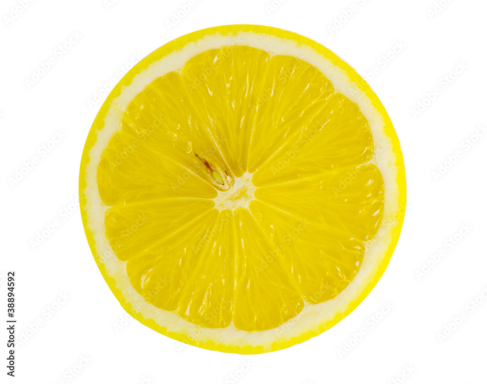 slice of lemon isolated on white background slice of lemon isolated on white background