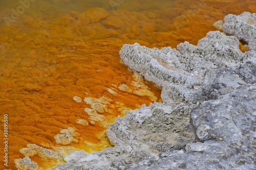 Champagne Pool, Wai-O-Tapu, late summer, North Island, New Zeala photo