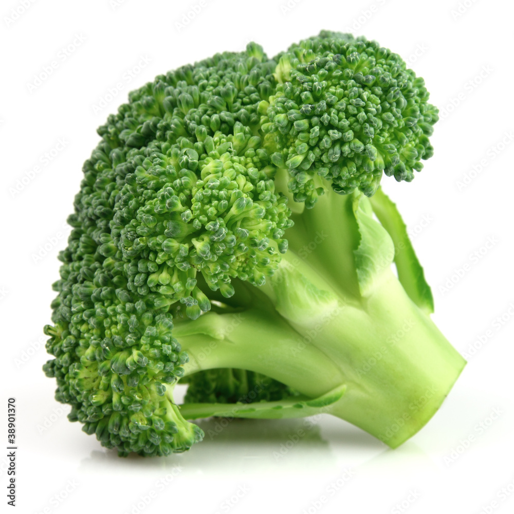 Fresh broccoli in closeup Fresh broccoli in closeup