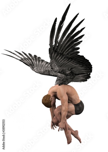 black wings