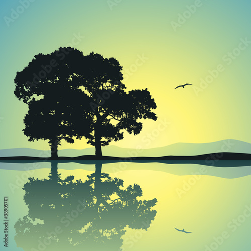Two Trees Standing Alone with Reflection in Water