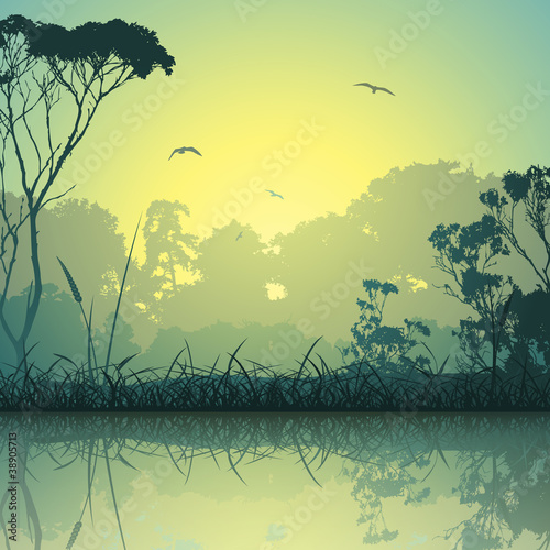 A Country Meadow Landscape with Trees and Reflection in Water