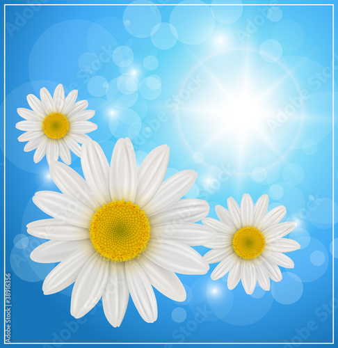 Sunny blue background with daisy flowers