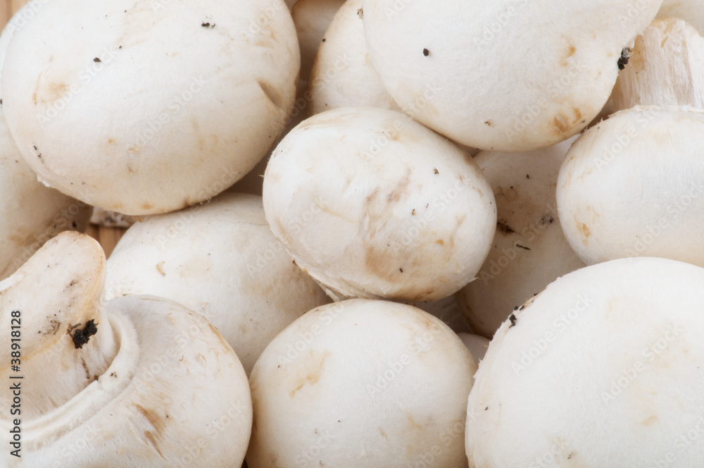 White Champignon Mushroom as background White Champignon Mushroom as background