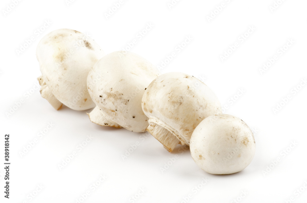 White Champignon Mushroom isolated on white background White Champignon Mushroom isolated on white background