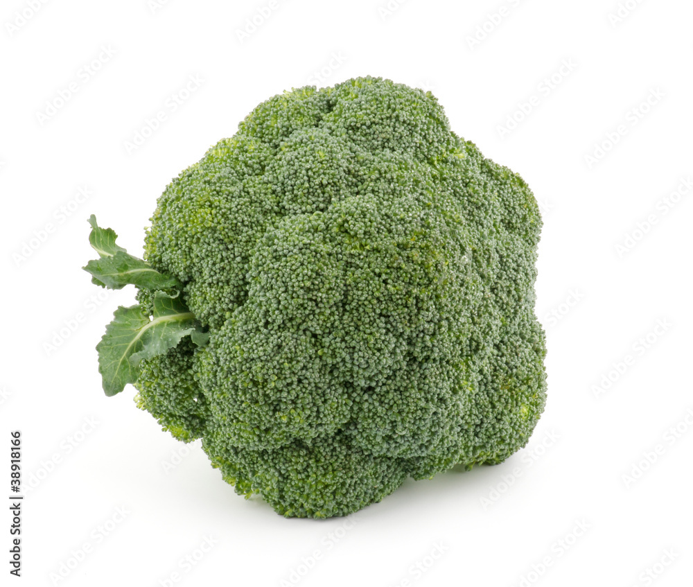 Single broccoli floret isolated on white background Single broccoli floret isolated on white background