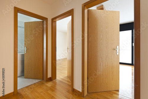 beautiful apartment, interior, wooden doors open