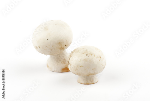 White Champignon Mushroom isolated on white background