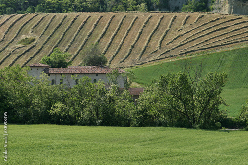 Vigolo Marchese, Castell'Arquato, campagna photo