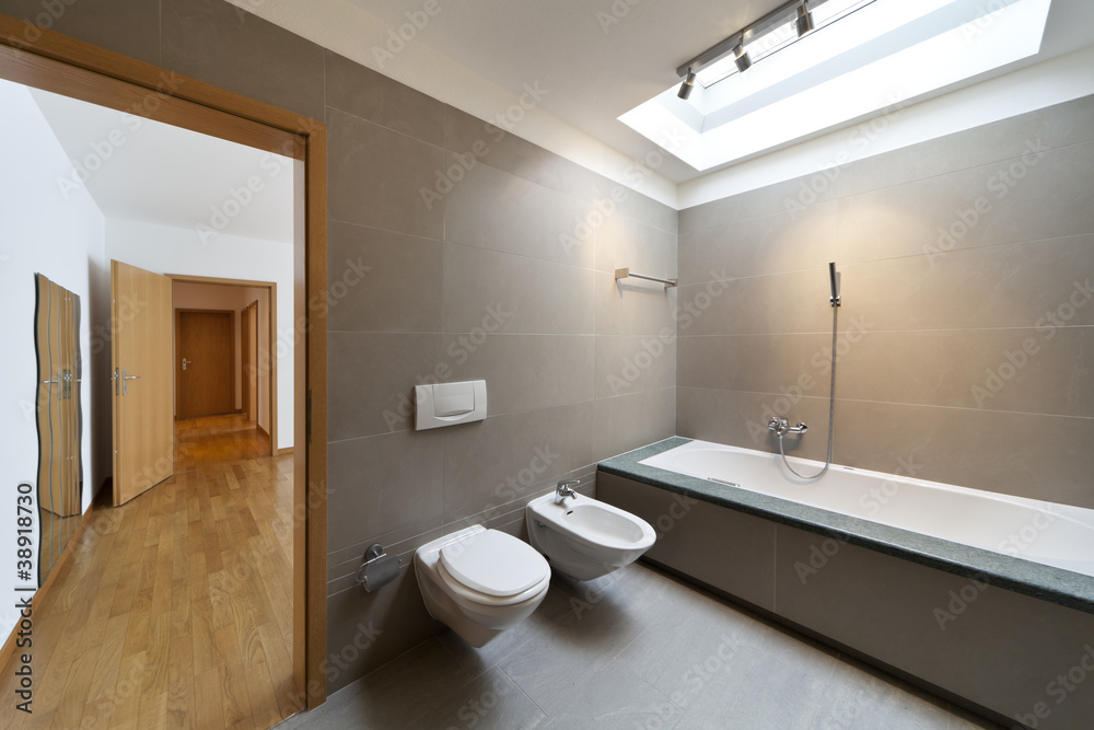 beautiful apartment, interior, bathroom , open door