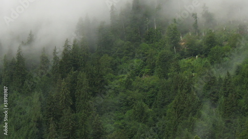 Time lapse of moving fog over the forest in alps photo