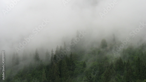 Time lapse of moving fog over the forest in alps photo