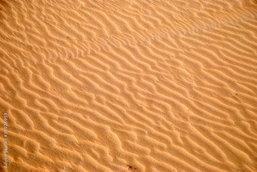 FONDOS Y TEXTURAS. ARENA CON ONDAS EN LA PLAYA FONDOS Y TEXTURAS. ARENA CON ONDAS EN LA PLAYA