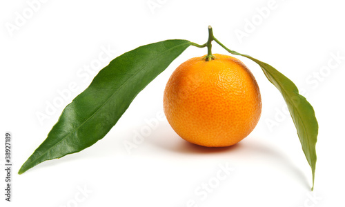 Tangerine with leaves isolated on white