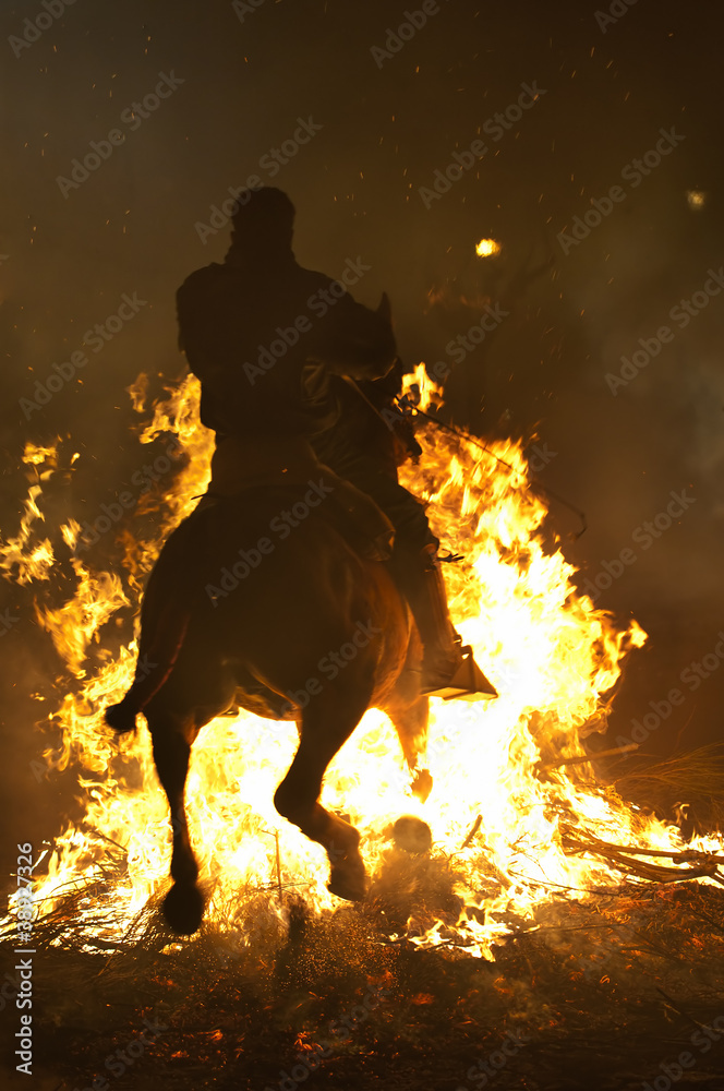 Fototapeta premium horse and fire
