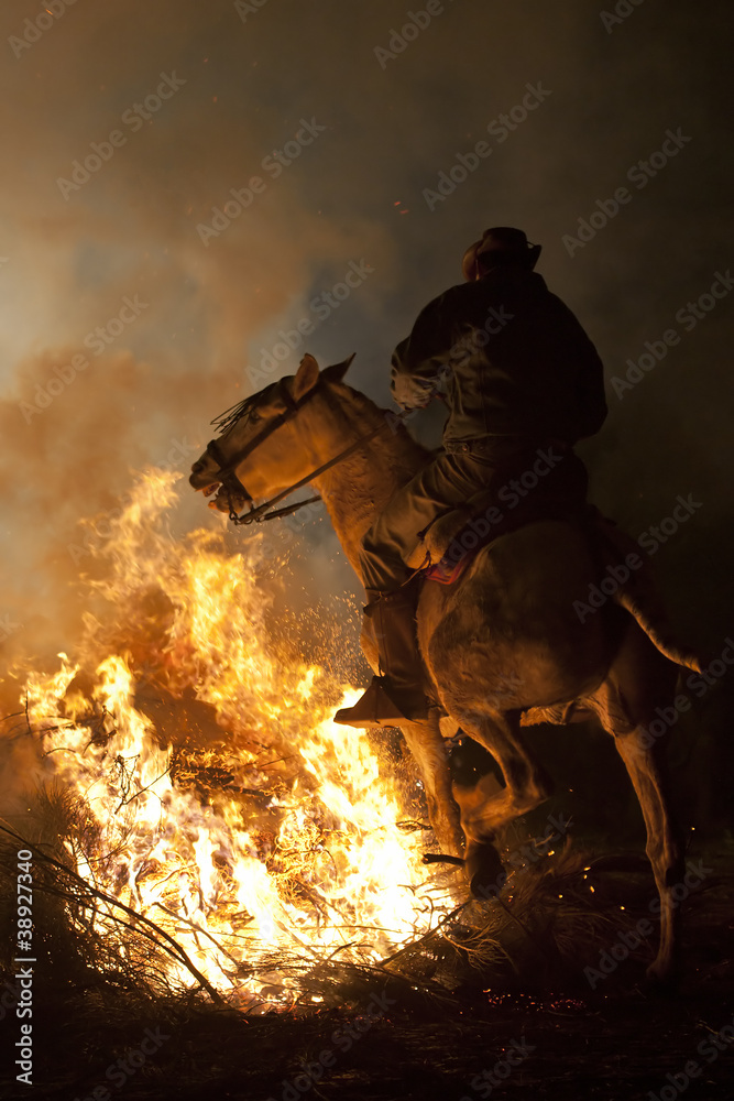 Naklejka premium horse and fire