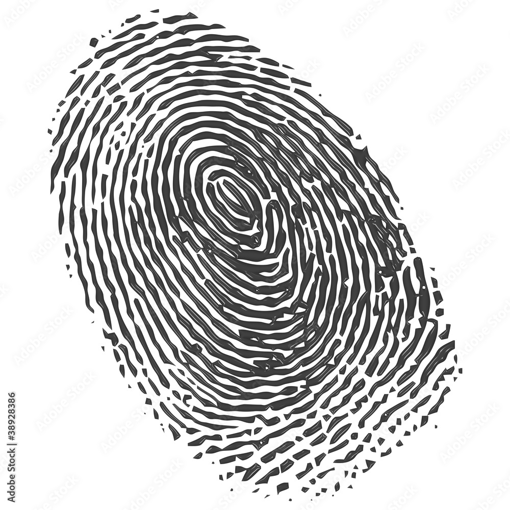 Fingerprint Fingerprint