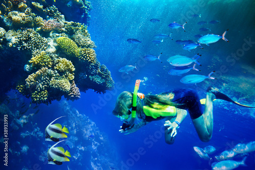 Group of coral fish in  blue water.