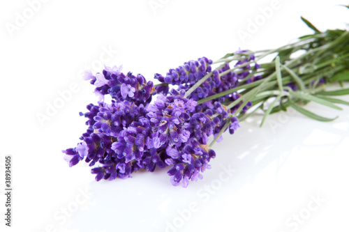 Bunch of picked lavender