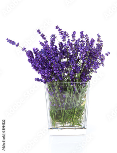 Bouquet of picked lavender flowers in vase