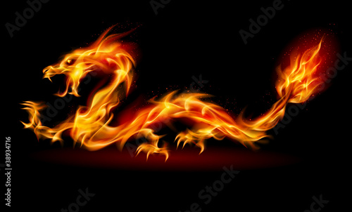 Fire Dragon #38934716