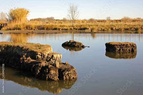 Camargue