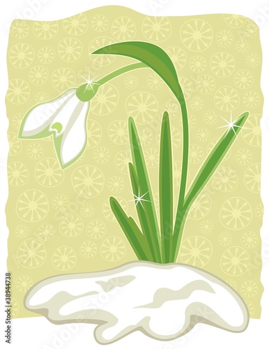 Snowdrop