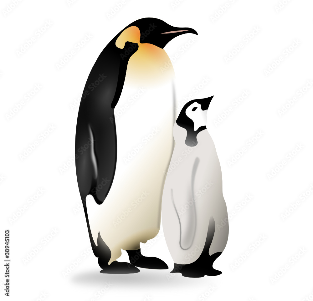 Manchot Empereur Et Son Petit Stock Vector Adobe Stock