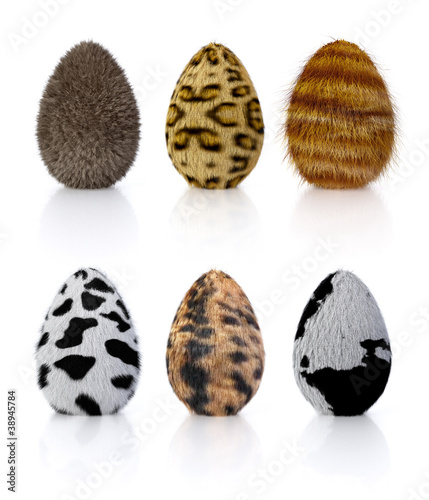 Eier mit Fell 02