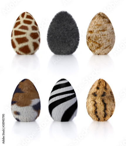 Eier mit Fell 01