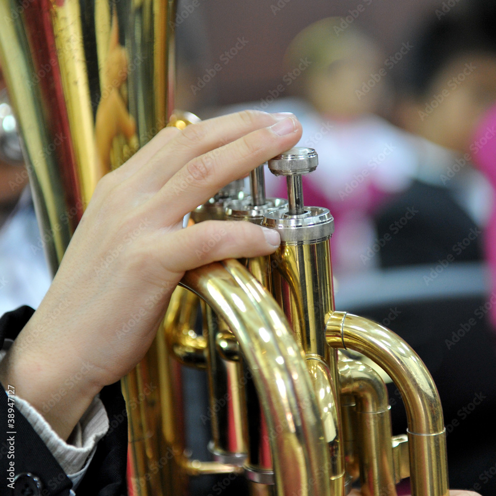 Obraz premium trumpet player