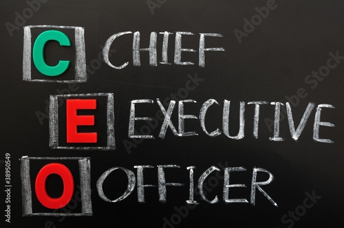 Acronym of CEO - Chief Executive Officer