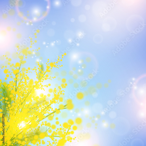 Mimosa