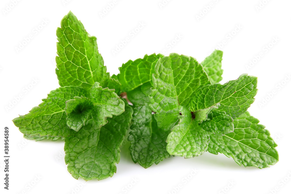 Fresh mint Fresh mint