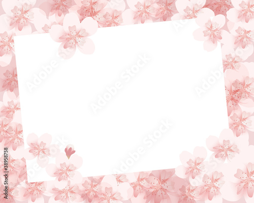 cherry blossom flowers frame