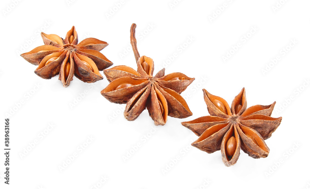 three truestar anisetree isolated on white background three truestar anisetree isolated on white background
