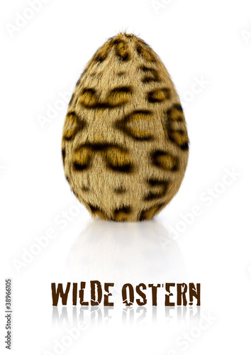 Ei Gepardenfell Text deutsch