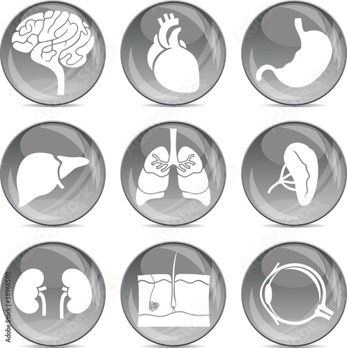 gray balls medical icons (eps10)