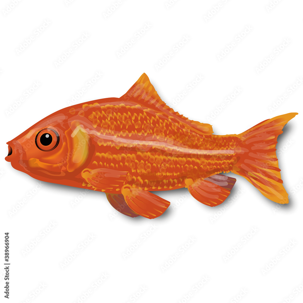 Fototapeta premium Fisch-03