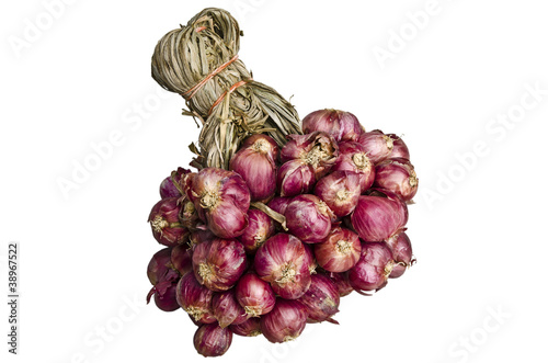 Shallot