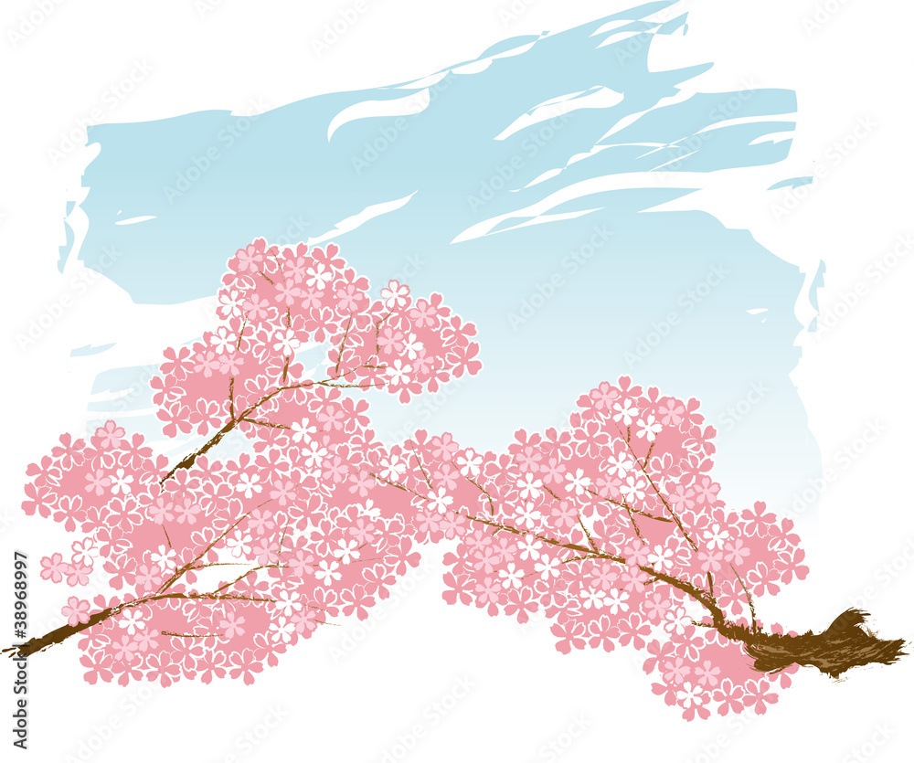 Fototapeta premium サクラの木