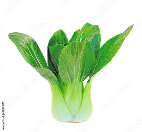 Bok choy  chinese cabbage  isolated on white