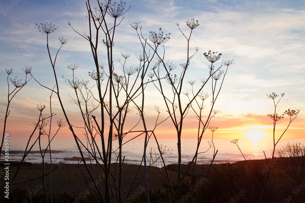 Obraz premium sunset