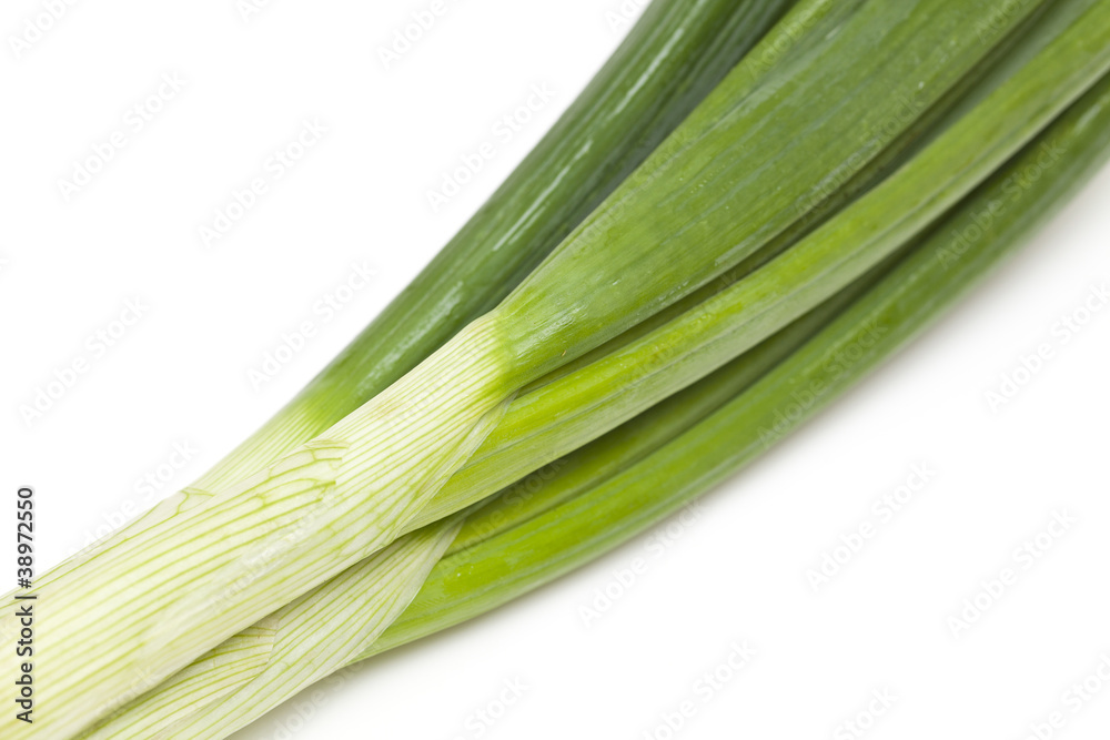 spring onion close-up spring onion close-up