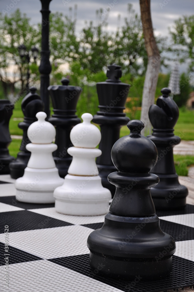 chess game on garden